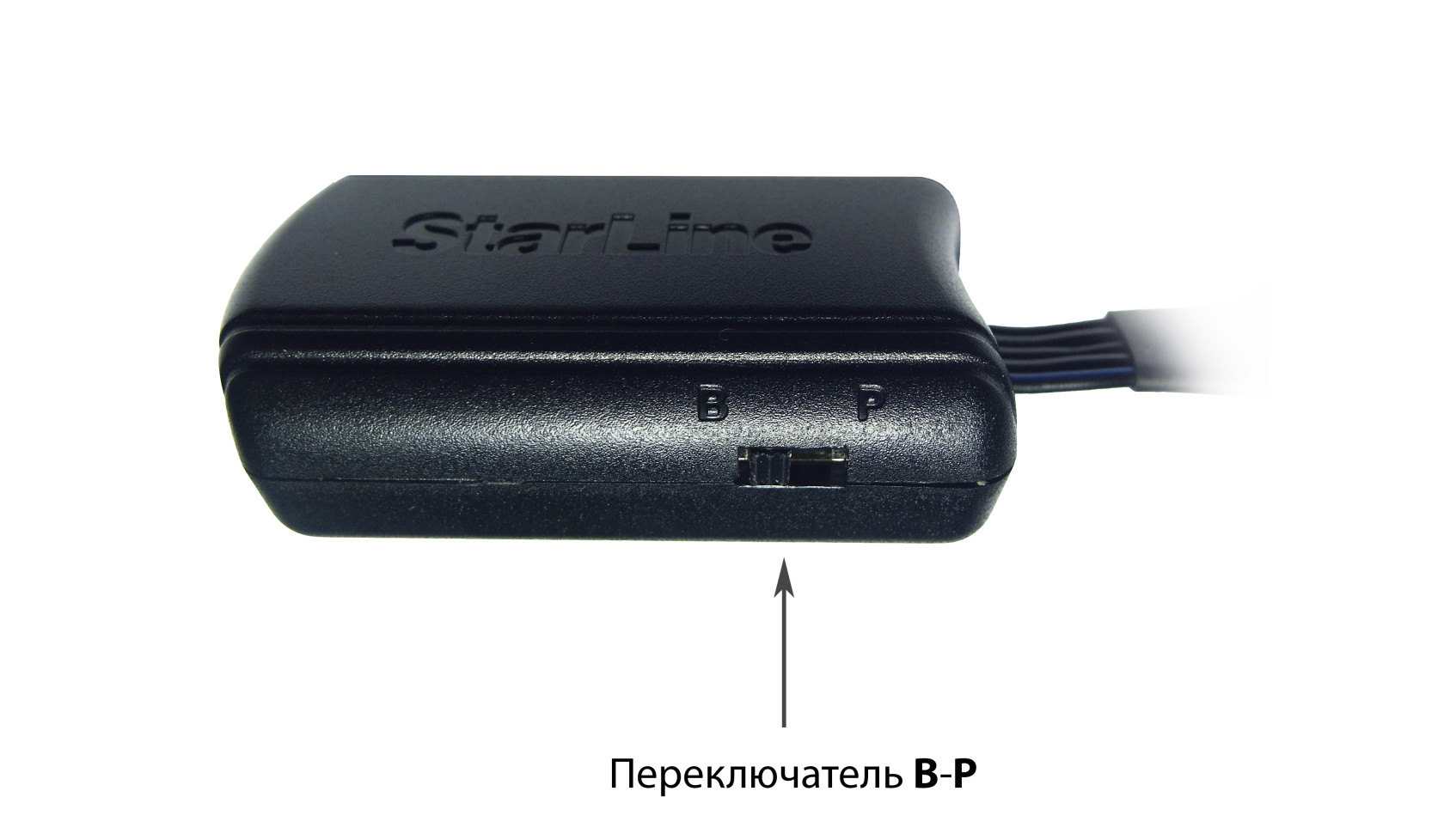 s2.jpg